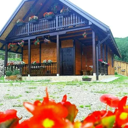 Сasa de vacaciones Brvnara Sofiana Bajina Basta