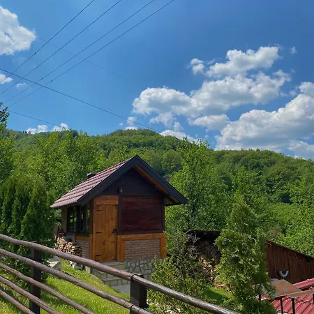 Brvnara Sofiana Bajina Basta