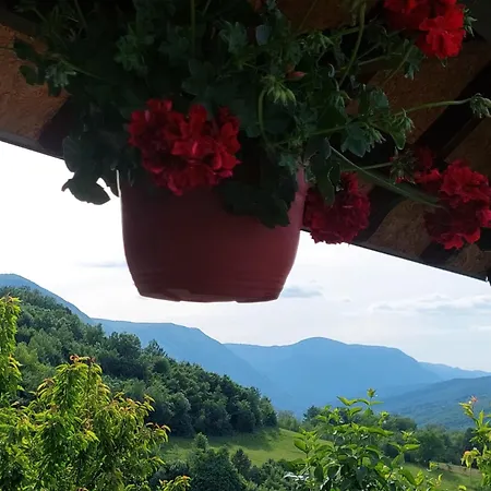 Brvnara Sofiana Bajina Basta