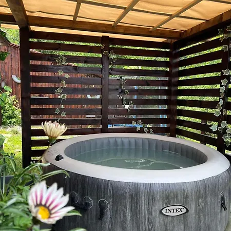 Brvnara Sofiana Holiday home Bajina Basta