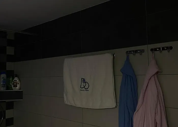 度假居 Brvnara Sofiana *