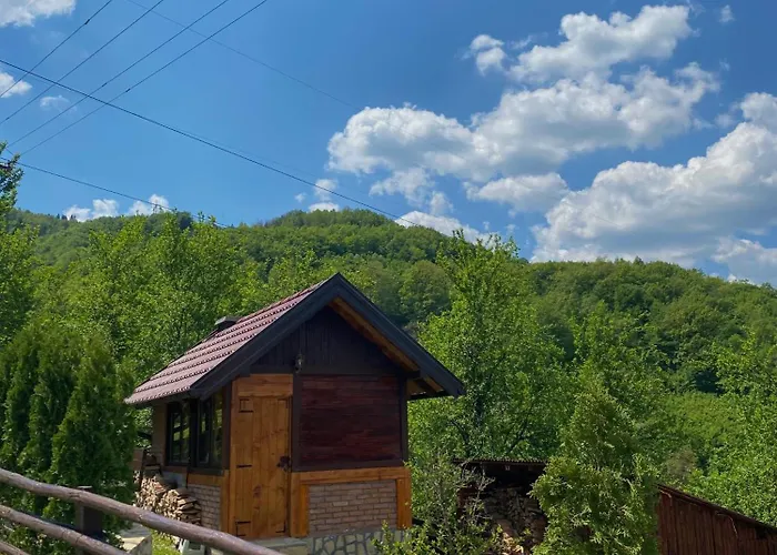 Brvnara Sofiana 巴伊纳巴什塔