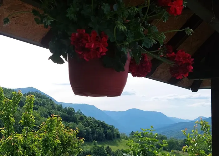 Brvnara Sofiana 巴伊纳巴什塔